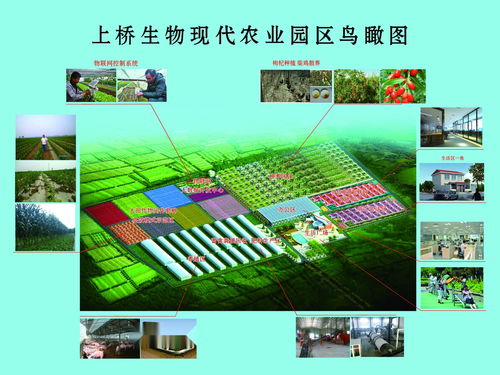 河北上橋生物科技