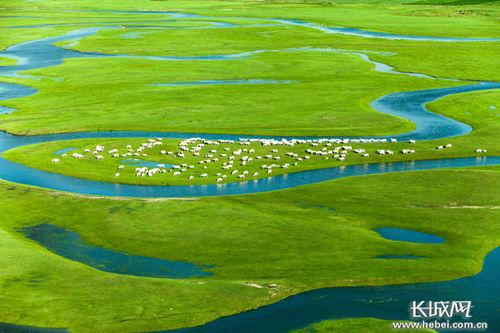 張家口 保護濕地建屏障,綠色生態(tài) 好氣質(zhì)