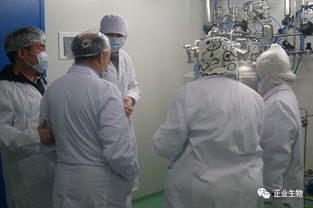 埃及農(nóng)業(yè)部疫苗采購gmp驗廠檢查團 到吉林正業(yè)生物制品股份開展驗廠核準工作