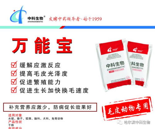 第三屆 2017 山東毛皮動物產(chǎn)業(yè)發(fā)展大會暨山東省畜牧協(xié)會特養(yǎng)分會第三屆會員代表大會 正在進(jìn)行時
