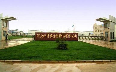 供應南瓜籽油 1級 欣奇典生產 - 中國制造交易網