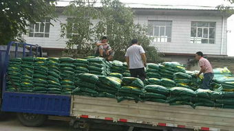 【河北生物有機肥廠家,衡水生物有機肥多少錢一噸】- 