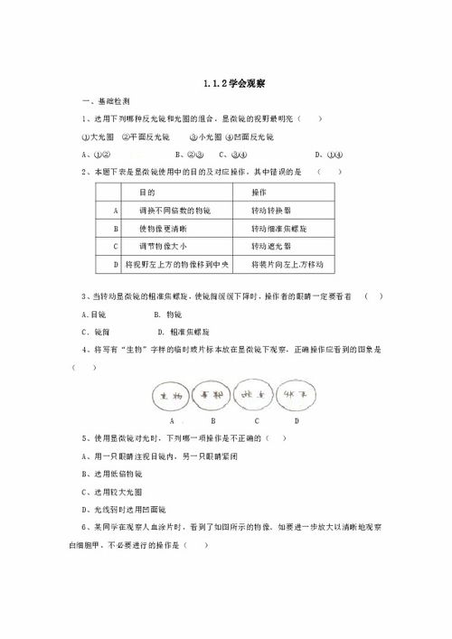 生物 河北少兒版 七年級上冊 第一單元1.2學(xué)會觀察 同步練習(xí)