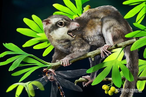 我們竟然都是蜥蜴人 談從 爬行 到哺乳的進(jìn)化 哺乳型動(dòng)物