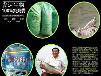 王建衛(wèi)生物魚肥價(jià)格/魚肥多少錢一噸/河北肥水肥